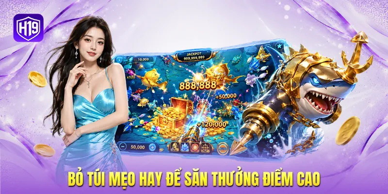 Bỏ túi mẹo hay để săn thưởng điểm cao